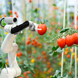 Robotic solutions in agriculture