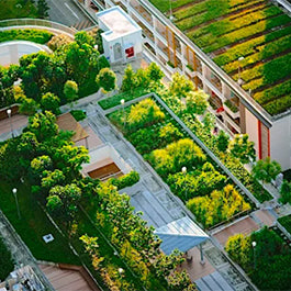 Urban farming